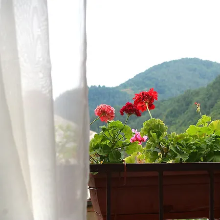 酒店 弗洛拉家庭旅馆